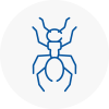 Ant Removals In Haslingden