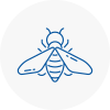 Bee Nest Removal Haslingden