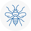 Haslingden Hornet Nest Removals