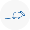 Mice Exterminators In Haslingden