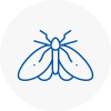 Moth Control Specialists In Haslingden