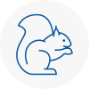 Haslingden Rodent Removals
